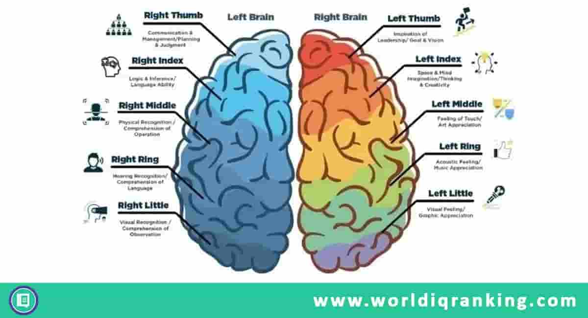 What is IQ score? IQ Ranking explained
