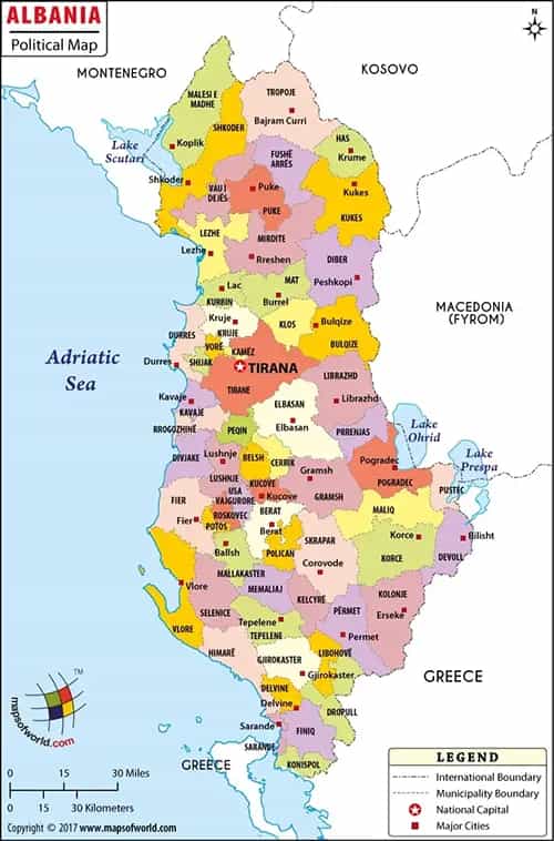What is the average IQ score in Albania? And County-wise Intelligence Overview.