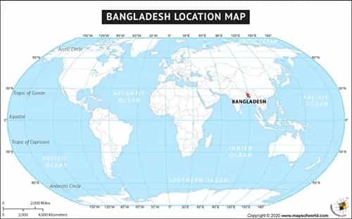 What is the average IQ score in Bangladesh? And Division-wise Intelligence Overview.
