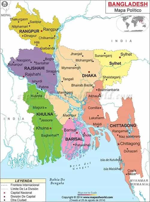 What is the average IQ score in Bangladesh? And Division-wise Intelligence Overview.