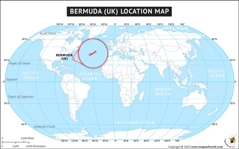 What is the average IQ score in Bermuda? And Parish-wise Intelligence Overview.