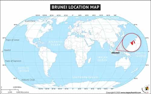 What is the average IQ score in Brunei? And District-wise Intelligence Overview.