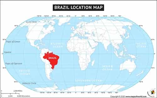 What is the average IQ score in Brazil? And State-wise Intelligence Overview.