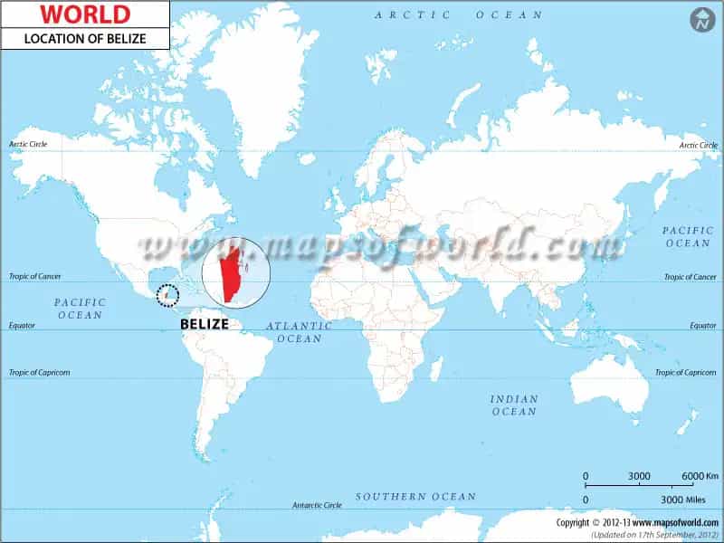 What is the average IQ score in Belize? And District-wise Intelligence Overview.