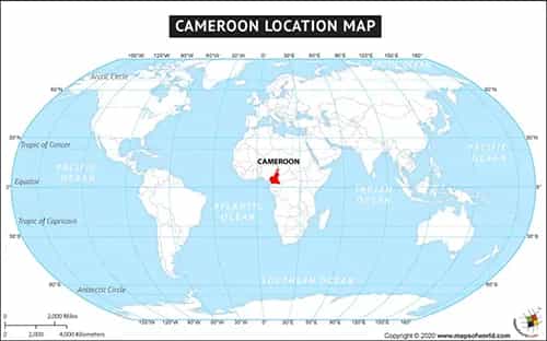 What is the average IQ score in Cameroon? And Region-wise Intelligence Overview.