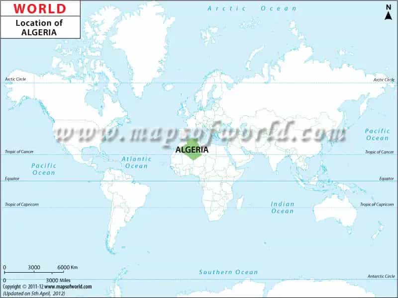 What is the average IQ score in Algeria? And Province (Wilaya)-wise Intelligence Overview.