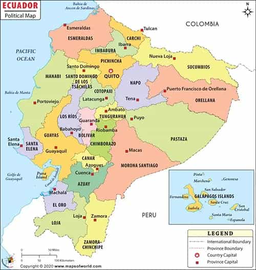 What is the average IQ score in Ecuador? And Province-wise Intelligence Overview.