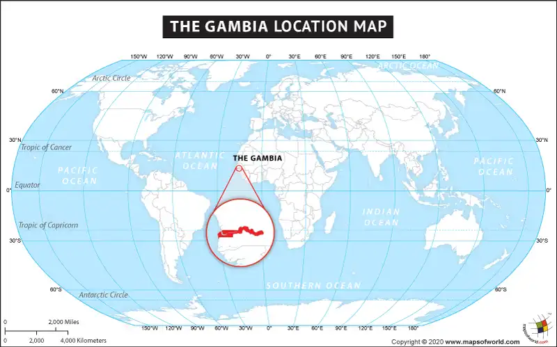 What is the average IQ score in Gambia? And Region-wise Intelligence Overview.