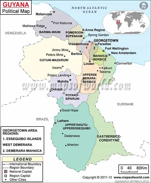 What is the average IQ score in Guyana? And Region-wise Intelligence Overview.