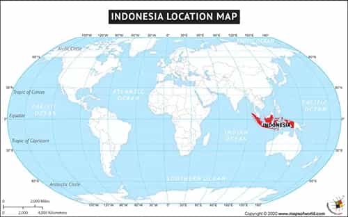 What is the average IQ score in Indonesia? And Province-wise Intelligence Overview.