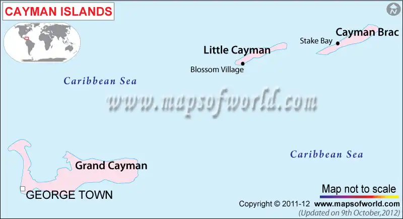 What is the average IQ score in Cayman Islands? And District-wise Intelligence Overview.