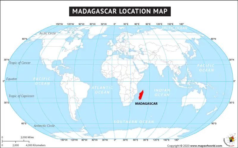 What is the average IQ score in Madagascar? And Region-wise Intelligence Overview.