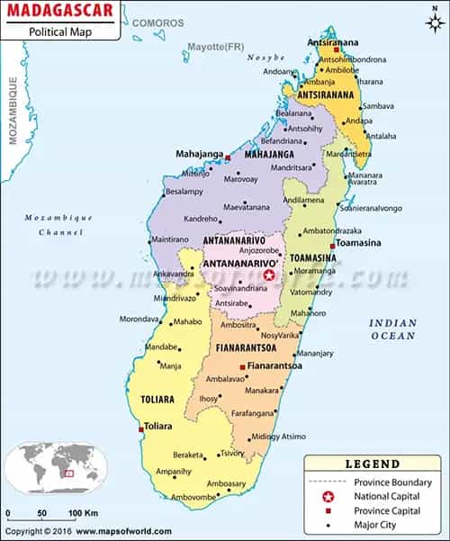 What is the average IQ score in Madagascar? And Region-wise Intelligence Overview.