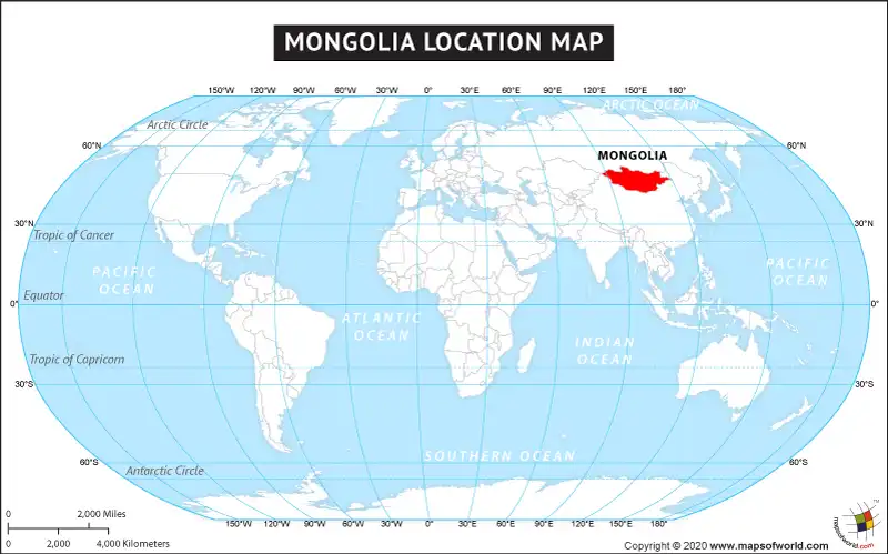 What is the average IQ score in Mongolia? And Province-wise Intelligence Overview.