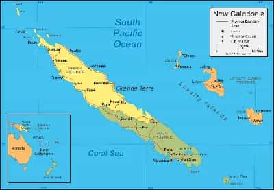 What is the average IQ score in New Caledonia? And Province-wise Intelligence Overview.