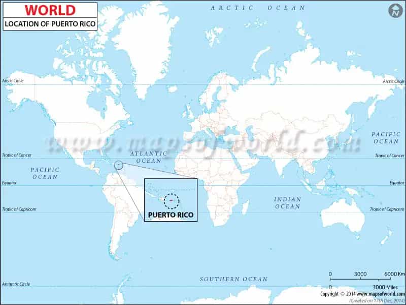What is the average IQ score in Puerto Rico? And Municipality-wise Intelligence Overview.