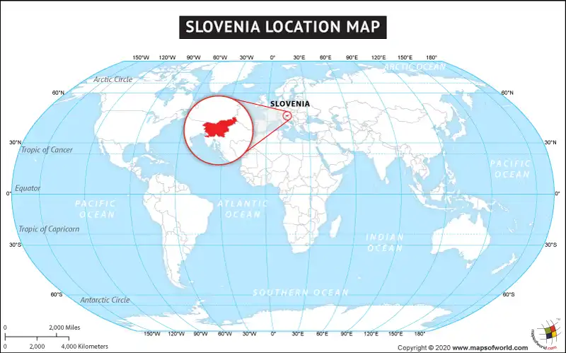 What is the average IQ score in Slovenia? And Region-wise Intelligence Overview.