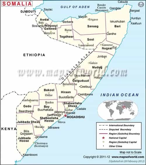 What is the average IQ score in Somalia? And Federal Member State-wise Intelligence Overview.