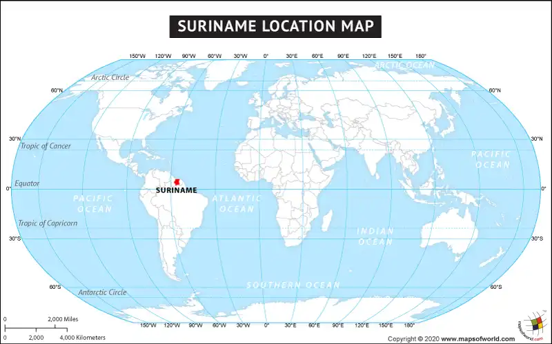 What is the average IQ score in Suriname? And District-wise Intelligence Overview.