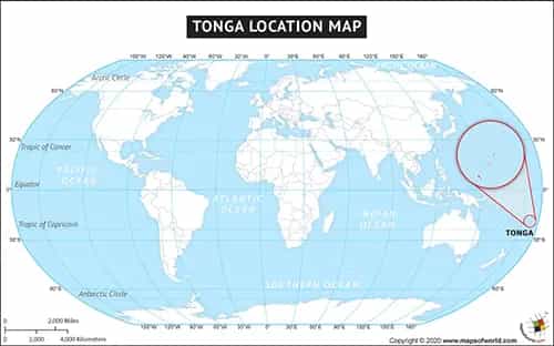 What is the average IQ score in Tonga? And Division-wise Intelligence Overview.