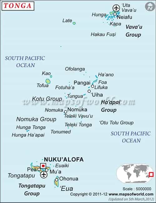 What is the average IQ score in Tonga? And Division-wise Intelligence Overview.