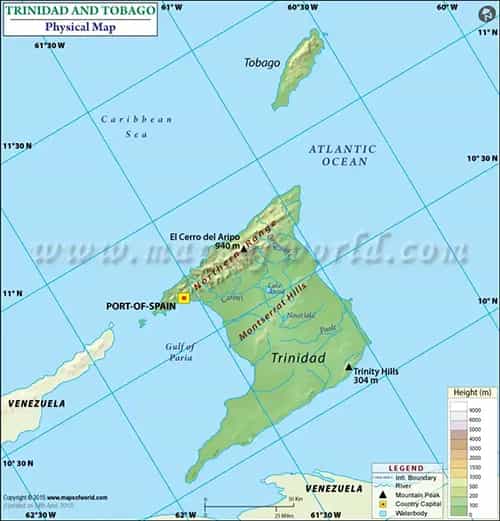 What is the average IQ score in Trinidad and Tobago? And Region-wise Intelligence Overview.