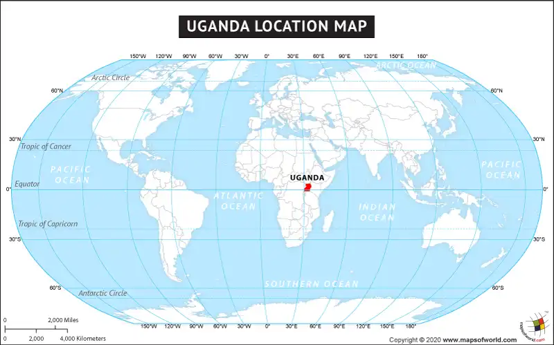 What is the average IQ score in Uganda? And District-wise Intelligence Overview.