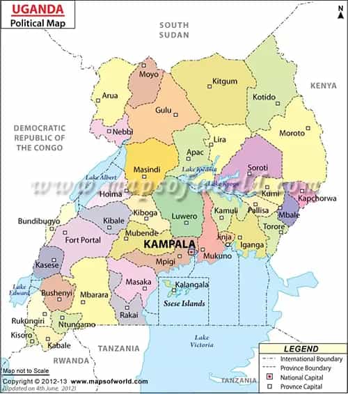 What is the average IQ score in Uganda? And District-wise Intelligence Overview.