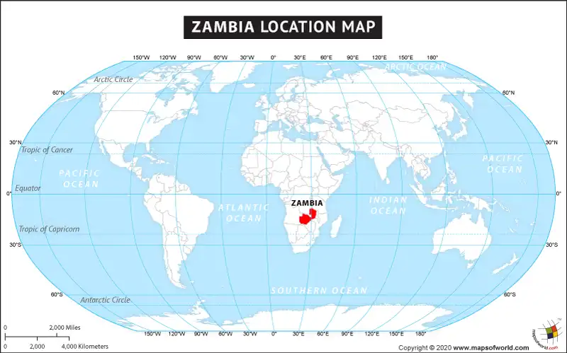 What is the average IQ score in Zambia? And Province-wise Intelligence Overview.