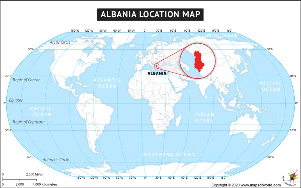 What is the average IQ score in Albania? And County-wise Intelligence Overview.