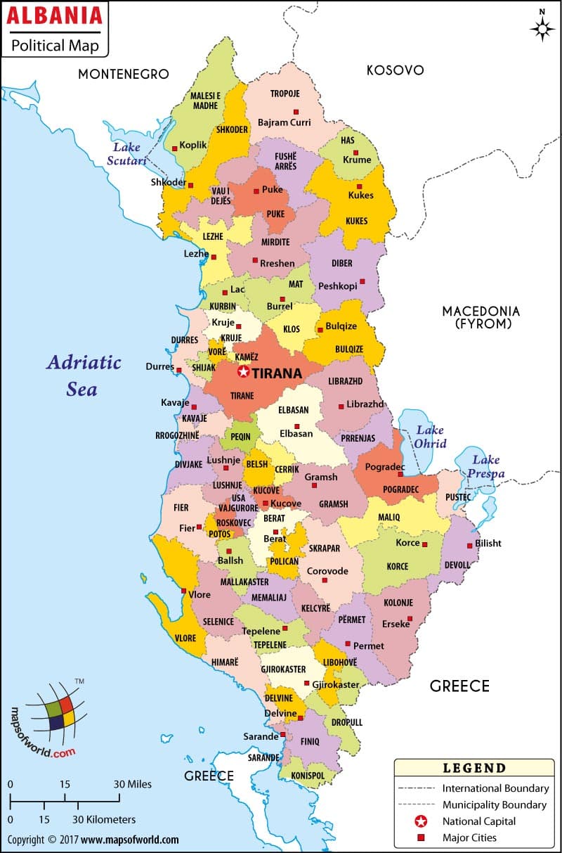 What is the average IQ score in Albania? And County-wise Intelligence Overview.