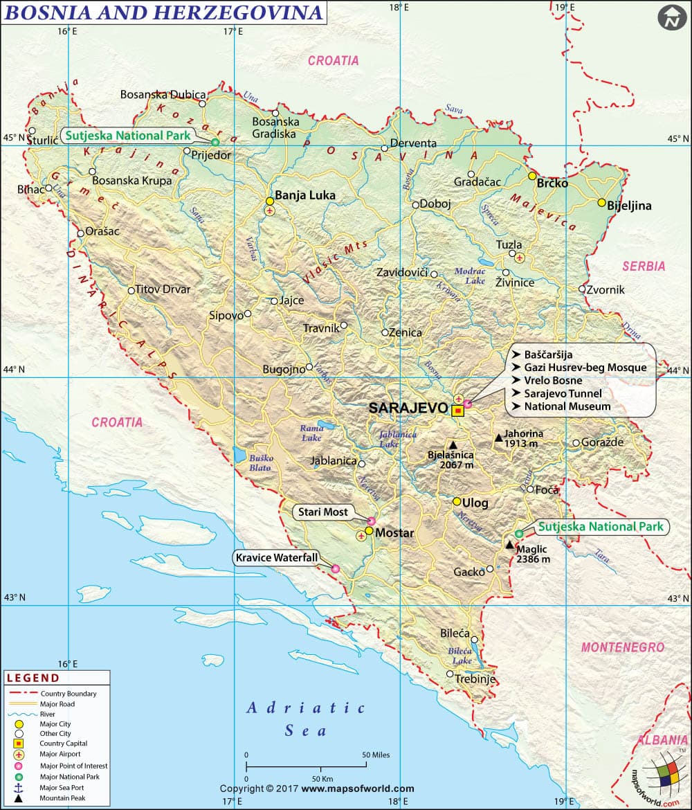 What is the average IQ score in Bosnia and Herzegovina? And Entity-wise Intelligence Overview.