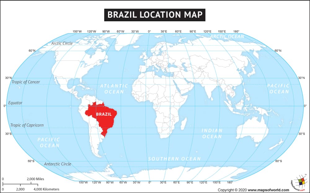 What is the average IQ score in Brazil? And State-wise Intelligence Overview.