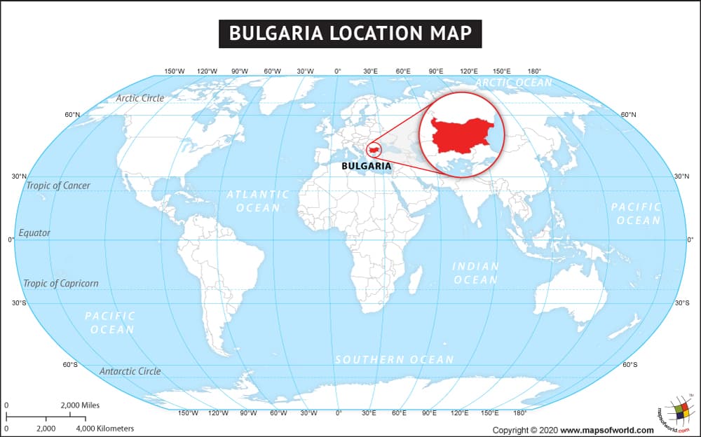 What is the average IQ score in Bulgaria? And Provinces-wise Intelligence Overview.