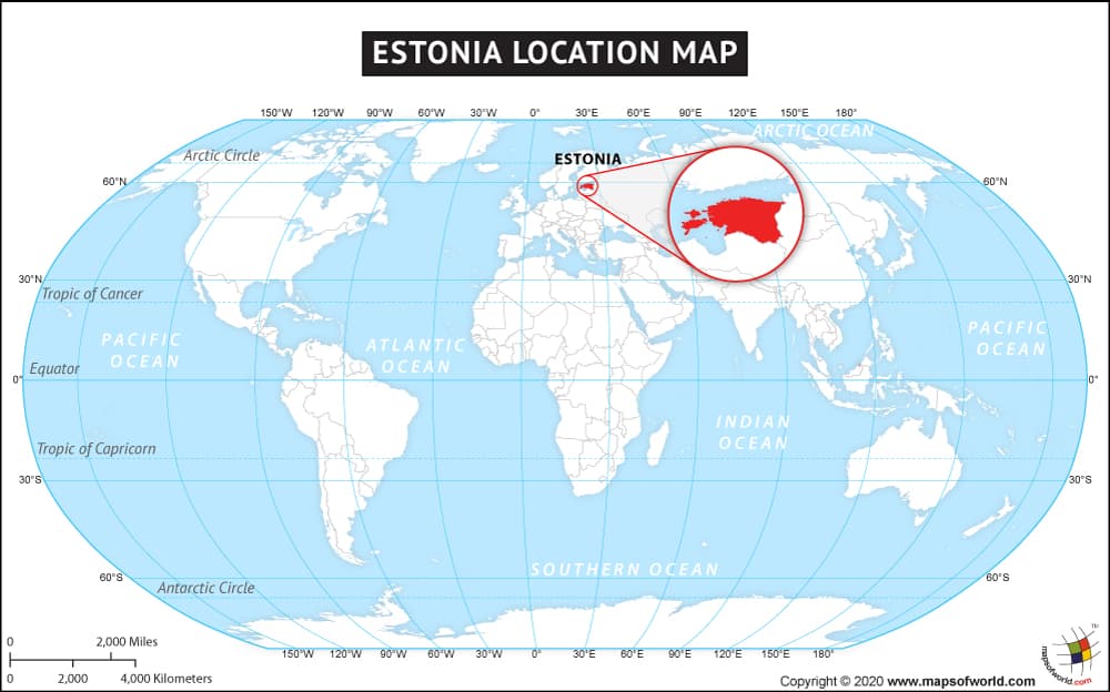 What is the average IQ score in Estonia? And County-wise Intelligence Overview.