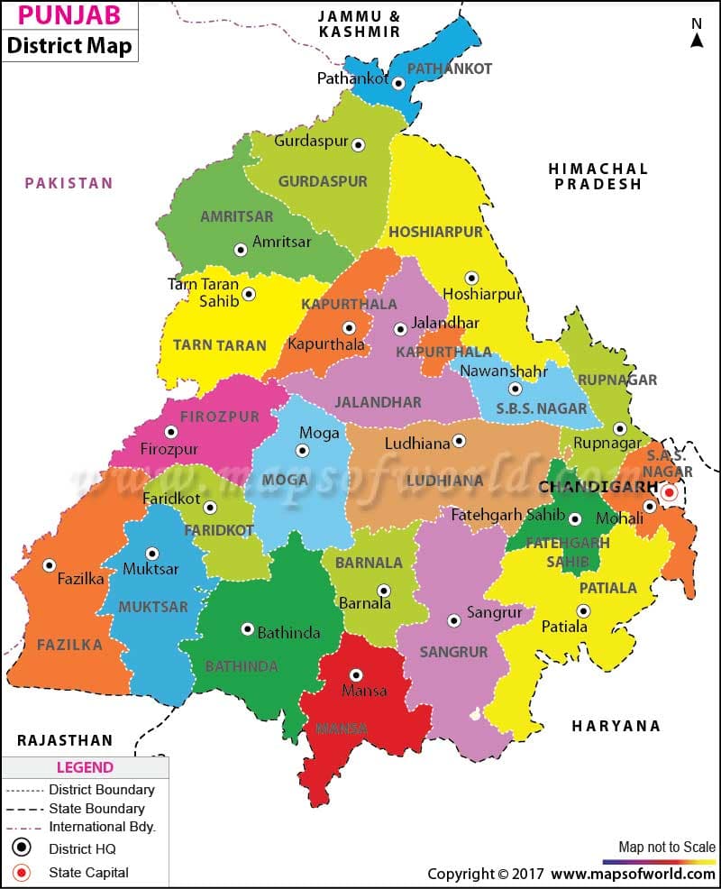 What is the average IQ score in Indian state Punjab