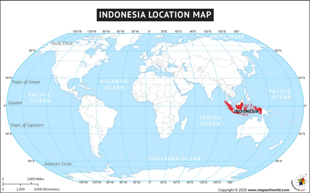 What is the average IQ score in Indonesia? And Province-wise Intelligence Overview.