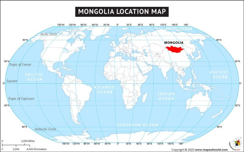 What is the average IQ score in Mongolia? And Province-wise Intelligence Overview.
