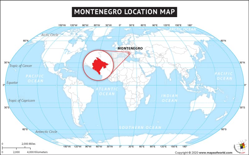 What is the average IQ score in Montenegro? And Municipality-wise Intelligence Overview.