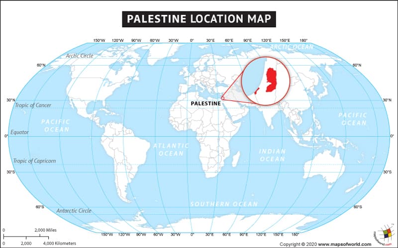What is the average IQ score in Palestine? And Governorate-wise Intelligence Overview.