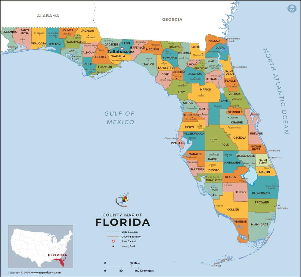 What is the average IQ score in the US state Florida