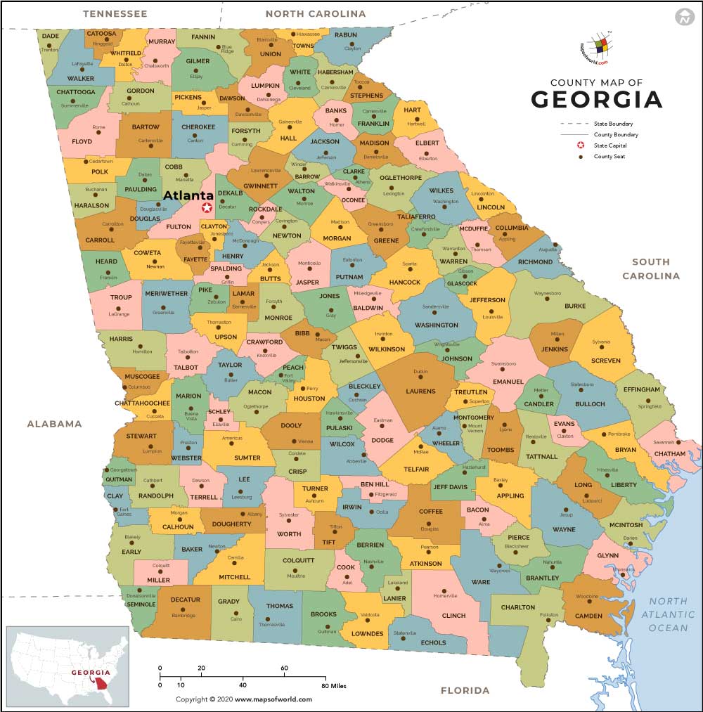 What is the average IQ score in the US state Georgia