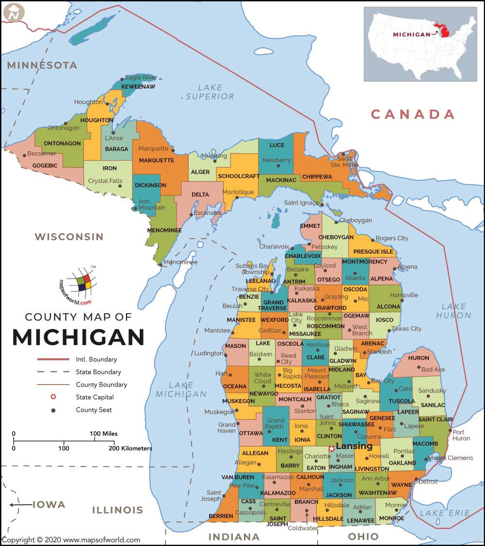 What is the average IQ score in the US state Michigan