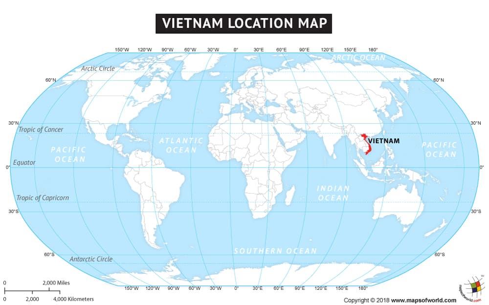 What is the average IQ score in Vietnam? And Province-wise Intelligence Overview.