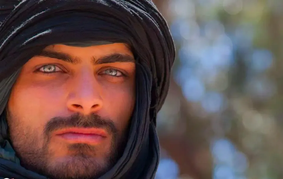 What is the IQ of Youssef Ben Hayoun Sadafi? And how smart is Youssef Ben Hayoun Sadafi?