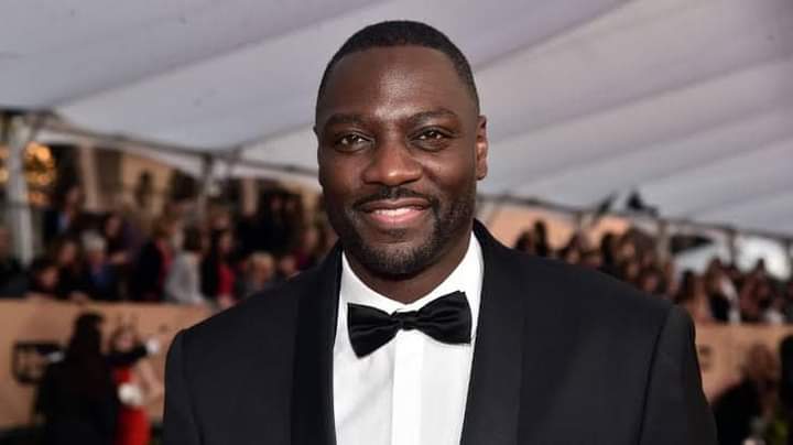 What is the IQ of Adewale Akinnuoye-Agbaje? And how smart is Adewale Akinnuoye-Agbaje?